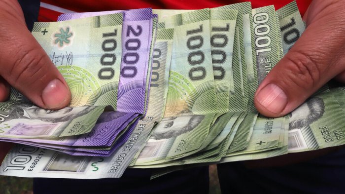 ¿Estás sin trabajo? Así puedes acceder al Fondo de Cesantía Solidario a través de internet