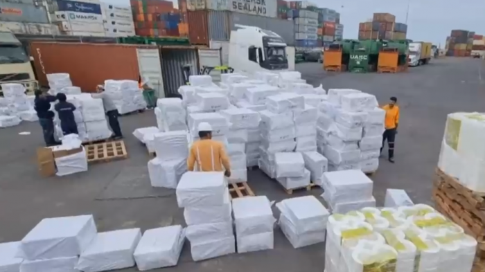 Serían vendidas en Santiago y Bolivia: Aduanas incautó 1 millón de dólares en zapatillas falsificadas