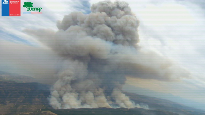 Onemi evacúa de emergencia sectores La Mina y Lagunillas por incendio forestal: Así es la columna de humo