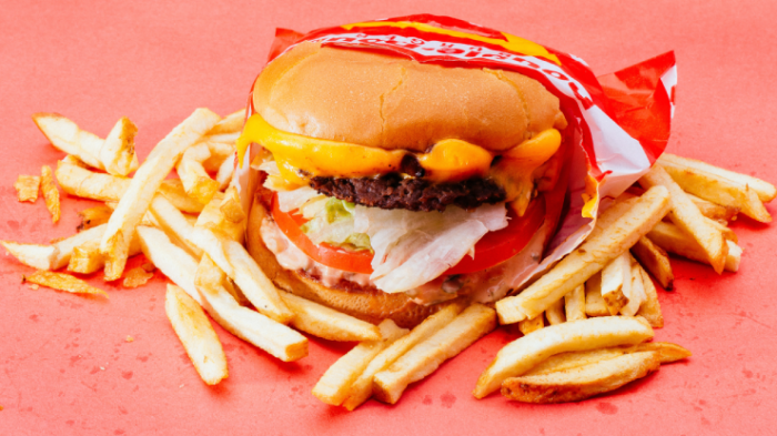 Consumir comida chatarra en exceso afectaría la memoria, según estudio