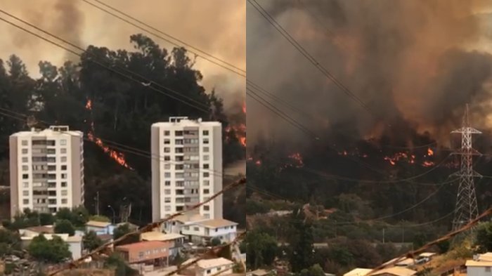 Declaran Alerta Roja por incendio forestal fuera de control en el Jardín Botánico de Viña del Mar