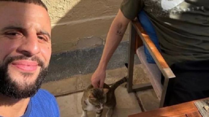 No hay copa, pero sí mascota: Jugadores ingleses adoptaron gatito tras ser eliminados de Qatar 2022