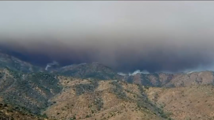 Lampa anuncia suspensión de clases en colegios municipales por incendio en Curacaví