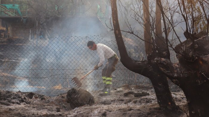 Balance Onemi: 5 incendios forestales se mantienen en combate y 209 personas han sido afectadas