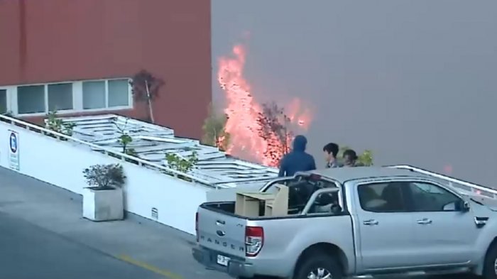 Incendio forestal en Viña del Mar afecta al menos 200 casas: Piden a la población evacuar