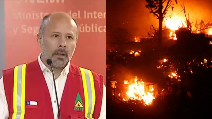 Director de Conaf por emergencia en Viña del Mar: 