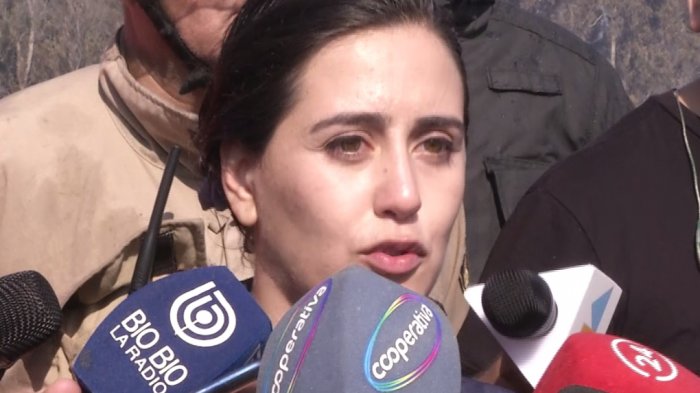 Alcaldesa Ripamonti llamó a la prudencia por voluntarios en incendio: 