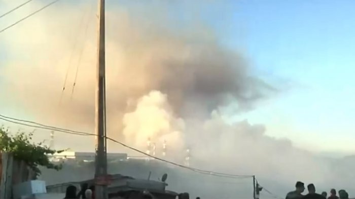 Viento, pasto y quebradas: ¿Por qué estos factores fueron fatales para la propagación del incendio en Viña?