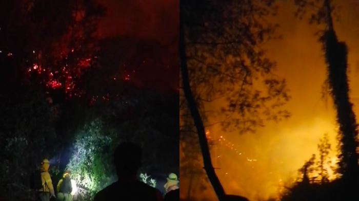 Onemi declaró alerta roja en Laja por incendio forestal: Se sumó a Chiguayante y Hualqui