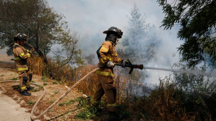 Onemi levanta Alerta Roja y declara Alerta Amarilla por incendio en Viña del Mar
