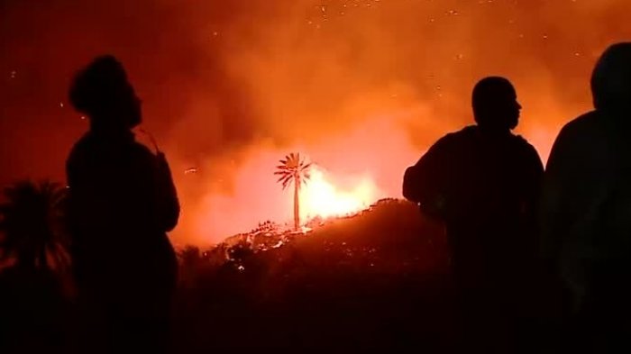 ¿Cómo se produjo el fuego?: Autoridades investigan si el incendio en Viña del Mar fue intencionado por terceros
