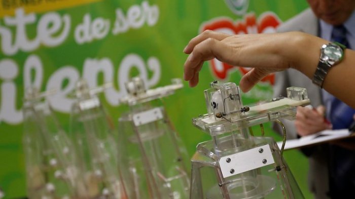 Última oportunidad para La suerte de ser chileno: Conoce cuándo es el sorteo final para llevarse $2,5 millones