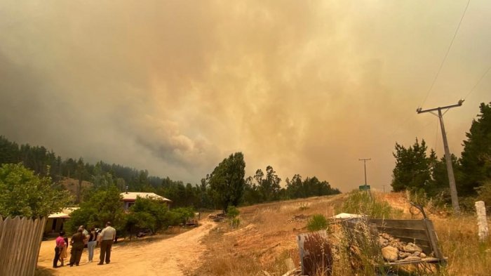 Alerta Roja en la Región de Biobío: Ya son más de 3.500 hectáreas consumidas por las llamas