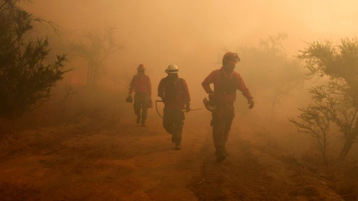 Se mantiene Alerta Roja por incendio en el Biobío: El fuego ya consumió 20 casas y una escuela