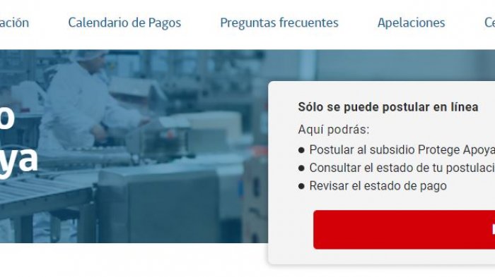 Extensión del Subsidio Protege: ¿Cuáles son los nuevos plazos de postulación y sus requisitos?
