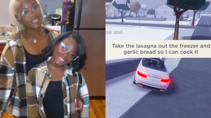 No le contestaba: Madre se metió a videojuego de su hija para avisarle que sacara la lasaña del congelador