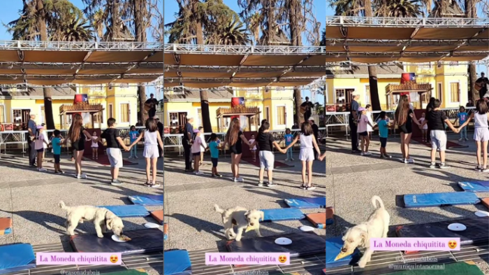 Fue grabado por la propia alcaldesa: Perrito robó pedazo de pizza en plena actividad de Quinta Normal