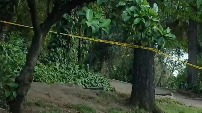 Hombre muere baleado en cerro Santa Lucía: Investigan presunto asalto y asesinato