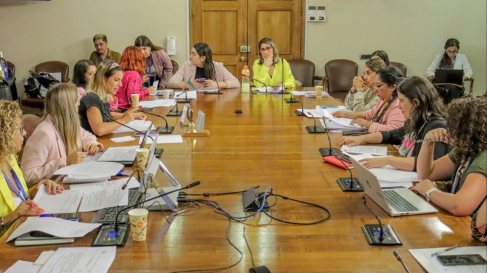 Monto superaría los $160 mil: Avanza proyecto que crea una pensión para hijos de víctimas de femicidio