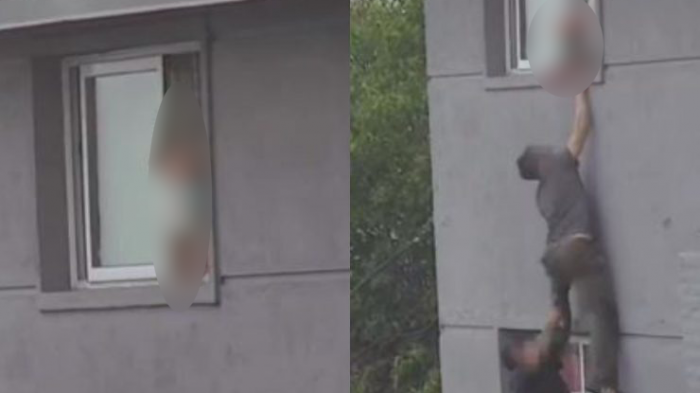 Imágenes impactantes: Guagua caminaba por cornisa de ventana y fue salvada por heroica acción de vecino