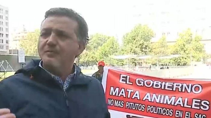 Dejó león muerto frente a La Moneda: La protesta de dueño de zoológico de Los Ángeles