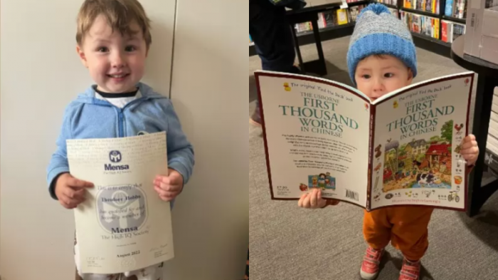 Superdotado: Niño de 4 años sorprende con su capacidad para contar hasta 100 en 6 idiomas no nativos