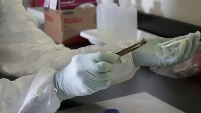 ¿Cáncer o envenenado? Investigadores entregarán últimos informes para esclarecer muerte de Pablo Neruda