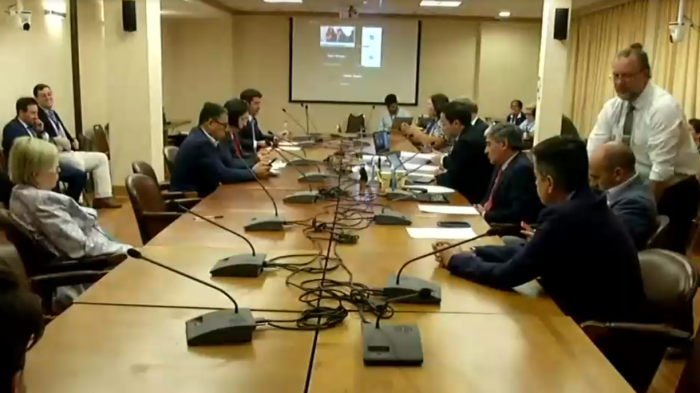 Comisión revisora rechazó acusación constitucional contra ex ministra Marcela Ríos