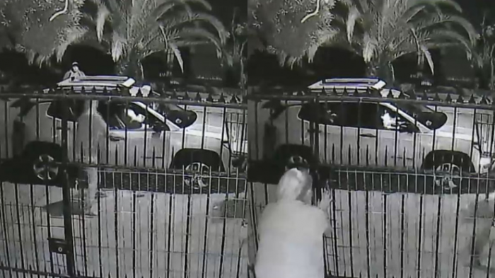 Dramático registro: Sujetos armados golpearon y le robaron auto en la puerta de su casa en El Bosque