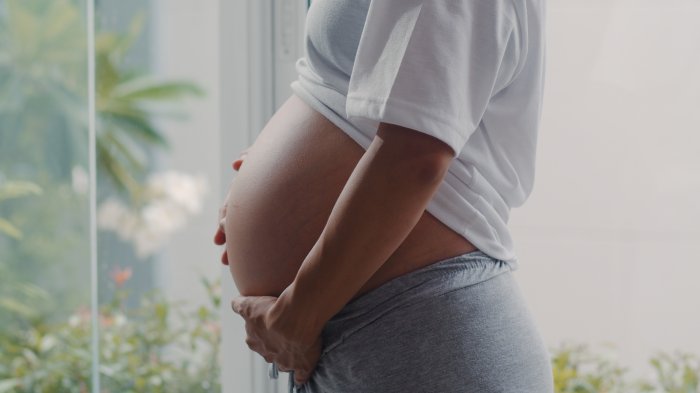 Asignación Maternal aumentó en enero: ¿Cuál es el nuevo monto y quiénes pueden recibirlo?