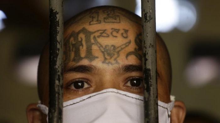 Desde El Salvador advierten que la Mara Salvatrucha 