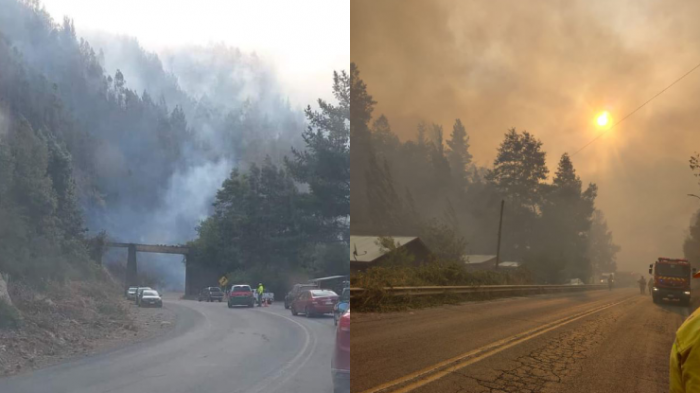 Senapred declara alerta roja en Purén por incendio forestal: Fuego amenaza a zona de viviendas