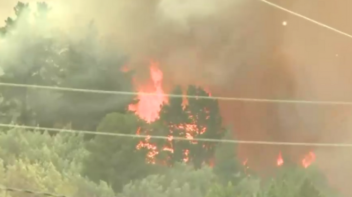 Alerta Roja en Quillón tras incendio forestal: Hay 30 casas en peligro de ser alcanzadas