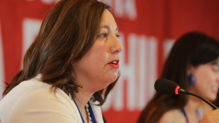 ¿Qué pasará con Socialismo Democrático? PS optaría por alianza electoral con Apruebo Dignidad