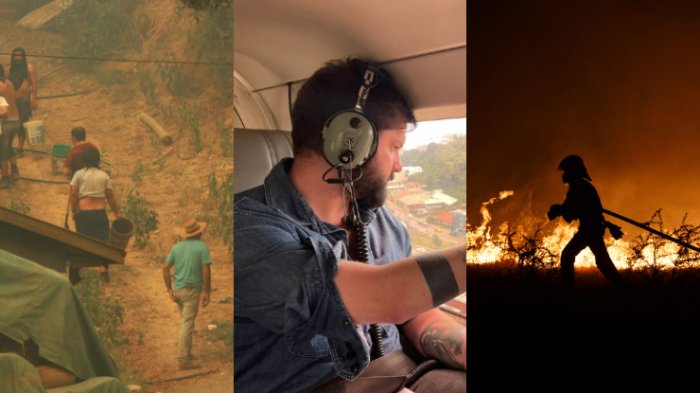 Balance por incendios forestales: Senapred registra 14 fallecidos y más de 200 siniestros a nivel nacional