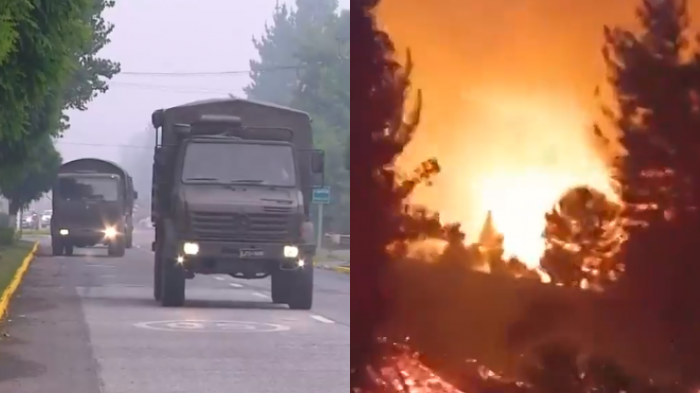 Incendios forestales golpearon de noche a Nacimiento y Purén: Se estiman 35 viviendas afectadas