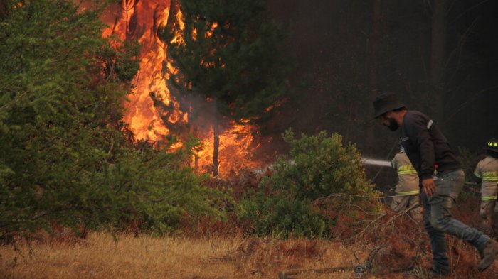 Techo-Chile inicia campaña de recaudación para las familias afectadas por los incendios: Revisa aquí cómo donar