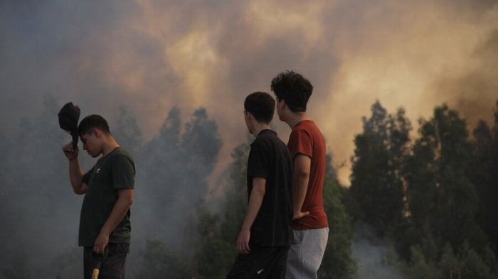 De un bono a viviendas transitorias: Las 13 ayudas del gobierno para los damnificados por incendios