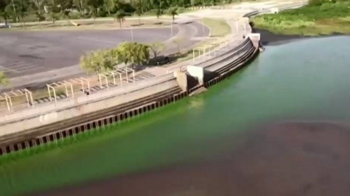 Alerta en Argentina: ¿Qué son las cianobacterias que provocaron extraño color verde en el Río de la Plata?