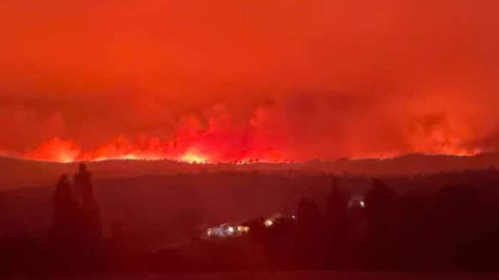Región del Ñuble: Senapred ordena evacuar Ninhue por rápido avance de incendio forestal