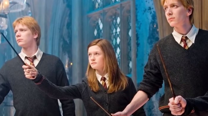 ¿Hogwarts en Chile? Gemelos Weasley de Harry Potter también fueron captados en Punta Arenas