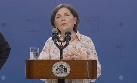 Paulina Saball por reconstrucción de zonas afectadas por incendios forestales: 