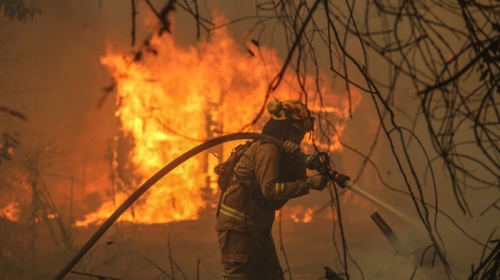 Gobierno se querella contra empresario que negó agua a piloto español que combatía incendios