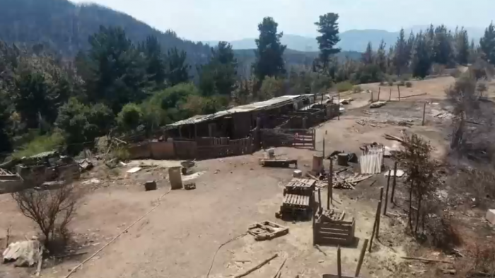 Ya van 13 días: 80 incendios forestales en combate, 425 mil hectáreas quemadas y querellas interpuestas