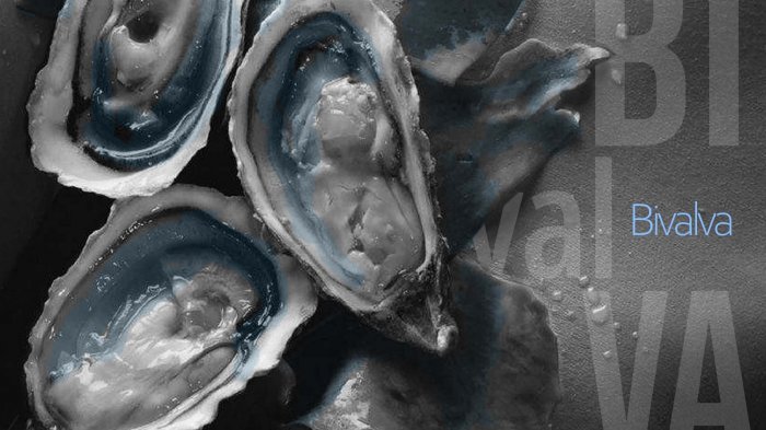 BIVALVA