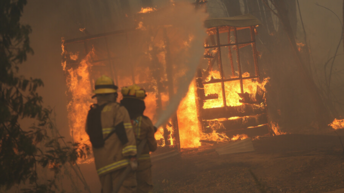 Nuevos focos de incendio en Biobío y La Araucanía encienden alertas: Sospechoso de iniciar fuego quedó detenido