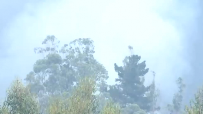 Van más de 6 mil hectáreas quemadas: Autoridades mantienen alerta de evacuación en comuna de Coronel por incendio