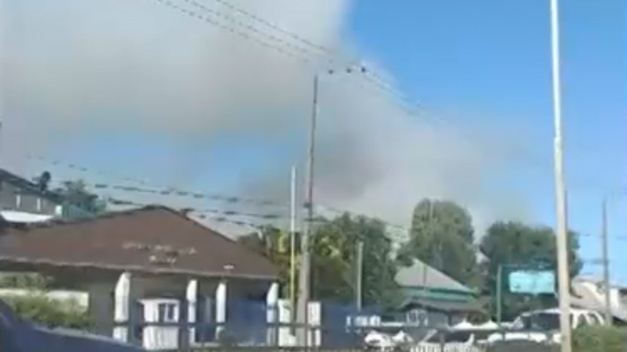 Alerta roja para Valdivia: Incendio forestal en Cerro Kunstmann deja cinco hectáreas afectadas