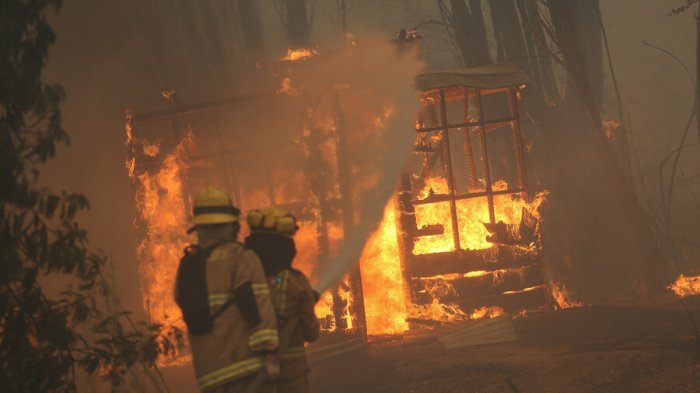 Fiscalía Nacional investigará incendios forestales en zona sur como un 