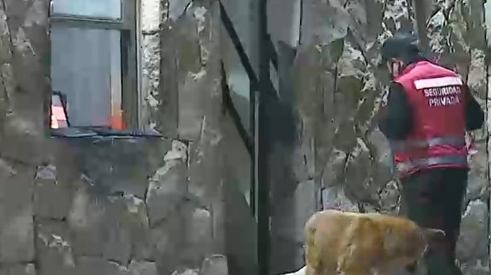 Conserje resultó baleado por delincuentes tras detener intento de robo en condominio en Colina